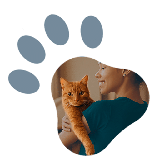 Nutrição pensada para gatos