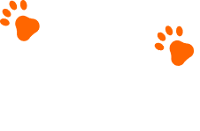 Patello, o amor nutre